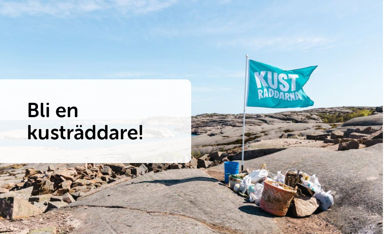 image: Bli en kusträddare
